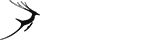 采购管理软件的ddos在线攻击